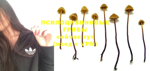мдма Кулебаки