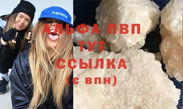 стафф Ладушкин