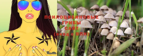стафф Ладушкин