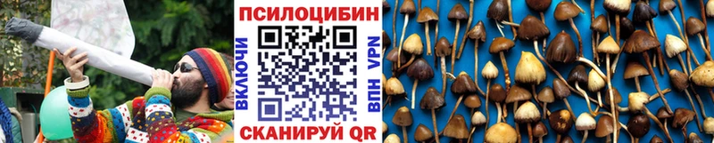 OMG рабочий сайт  Пугачёв  Галлюциногенные грибы мицелий 